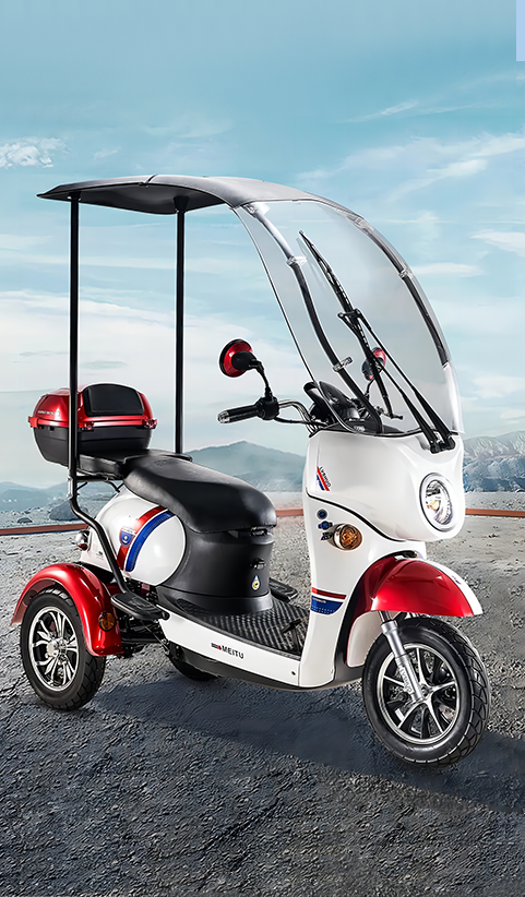 Three Wheel Electric Vehicle